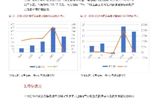 WDCP的综合评价，优势、劣势与应用前景
