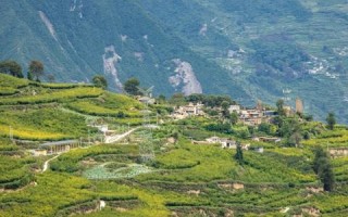 无忧主机网—我的云上之旅，深度使用体验大揭秘