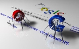 网页打开总是出现域名显示错误，原因分析与解决策略