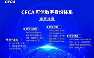 星浪网络，引领未来数字营销的新浪潮