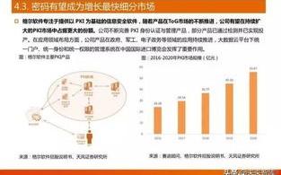 深度解析唯一网络，打造数字时代的高速通道