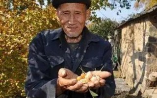 酷火互联，连接你我，共享智慧光明的数字化桥梁