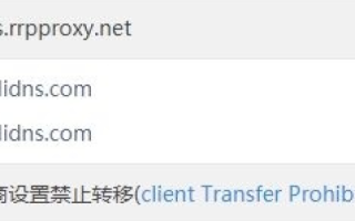设置条件转发器，高效管理不同域名查询的利器