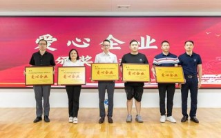 八一互联的稳定性，技术、制度与市场协同作用的分析