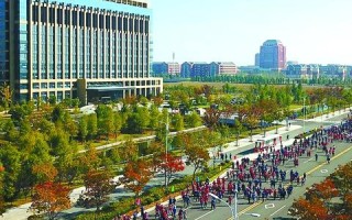 南北通网络，构建数字时代下的互联互通新篇章
