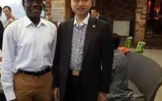 炎黄数据的实际使用经验与深度分析