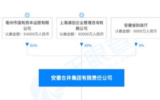 网联未来，讯启巅峰，深度解析网讯中国的变革与发展