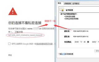 为什么我在IE地址栏输入网站域名的IP会进入不了？