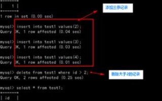 CloudXNS，深度解析与实战使用经验