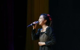 中国倪网，探寻中华文化瑰宝，领略独特艺术魅力