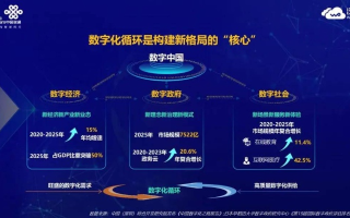 熊猫互联，构建数字桥梁，引领通信未来