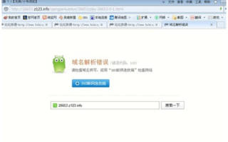 域名解析错误错误代码105网络异常，深度解析与解决方案