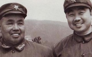 派飞网络评测，速度、稳定性与专业服务的全方位解析