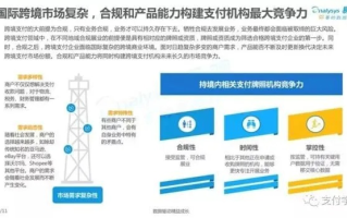 支付网中国，一个中文域名的价值评估与市场潜力