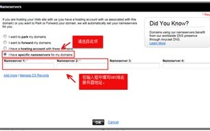域名审核成功后，你的数字之旅才刚刚开始