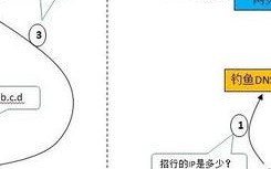 如何申请手机网页域名并做网页，从零开始的全面指南