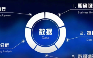 雪狼数据，解析其在大数据时代的崛起与影响