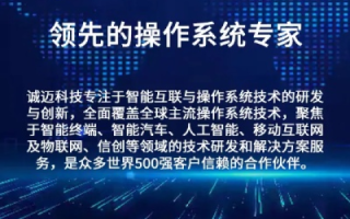 旗盛网络，引领科技创新，打造智慧未来