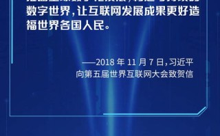 域名领域全解析，探索数字时代的基石
