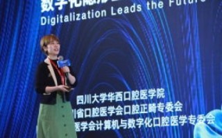 探索顶点网络官网，数字化时代下的创新领航者