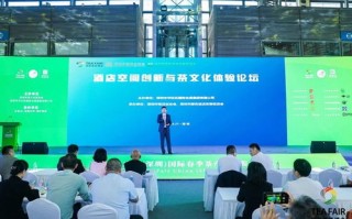 深圳鼎峰网络科技，稳健前行，创新引领未来