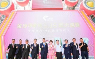 如何在空间网络官网内高效运营，专业策略与最佳实践