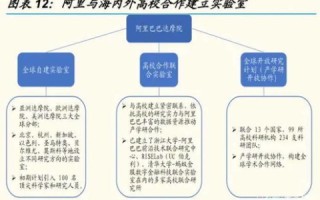 深度探索，腾正云使用体验与用户反馈分析