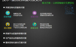 99BGP服务解析，优势、适用场景与选择建议