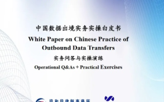 中国领事数据的使用实践与价值探析
