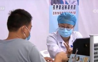 探索双速主机，技术、应用与发展趋势的全面解析