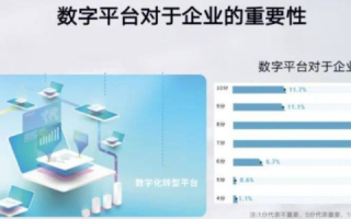 索邦互联评测，探索互联网时代的数字化新生态