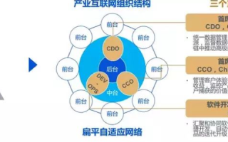 九九互联评测，深挖互联网时代的用户体验与创新