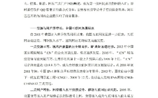 中国维网的现状与未来发展，困境与挑战下的创新之路