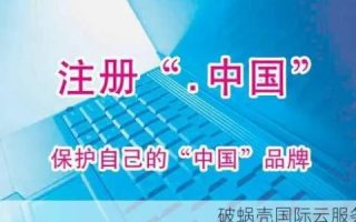 你会用中文域名吗？探索中文域名的魅力与未来