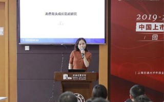 探索百强互联网公司的稳定性，从数据到实践的深度解析