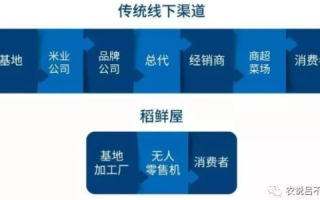 西部渠道，亲身体验的价值与探索