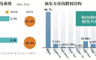 新东方互联网，多元化发展的领导者