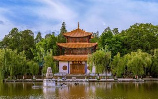 揭秘金马数据，真实用户背后的故事与深度体验解析