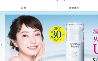 网站优化时主要优化哪一个域名，选择、策略与效果
