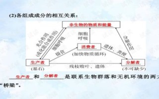 纵横网络，重塑数字时代的新生态