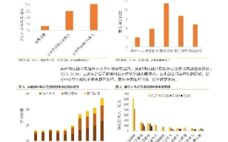 久大互联的稳定性评价与市场前景分析