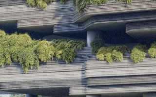 绿意生活，探索城市绿色空间的多样性与可持续性使用