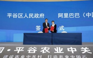 关于域名的说法，探索数字时代的网络标识与品牌构建