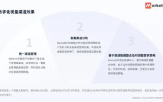 万维商务体验，成功案例背后的深度解析