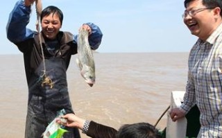 浙东数据，创新与变革下的数字浪潮