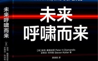 美国安网，重塑网络安全的未来愿景与现实挑战