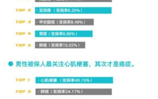 上海龙联的真实使用经验，揭秘其效能与用户体验