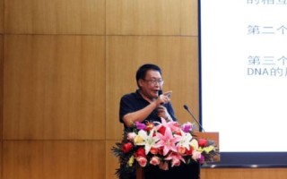楠羽网络评测，2024年最新款游戏机高端测评