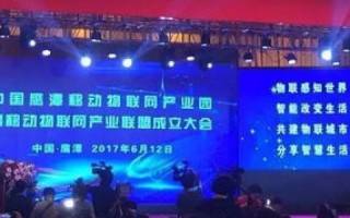 深入评测滇讯互联，解锁云南通信新篇章