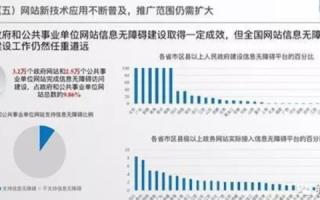 中国互联网的稳定性，现状、挑战与未来展望